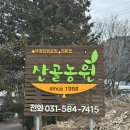 [경기도/가평] 경기도 이영자 솥뚜껑 닭볶음탕 맛집 &#39;산골농원 솥뚜껑닭볶음탕&#39;