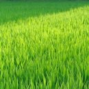 국토행정사사무소 이미지