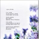 봄 비 / 이수복 이미지