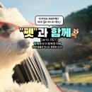 (주)메가투어 데일리안