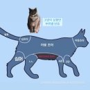 5월 연휴 일기