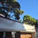 방도로R | 동대입구역 장충동 분위기좋은 서울대형카페-스타벅스 장충라운지R점