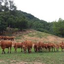 산지농장 이미지