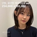디자인237