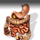 (주)위담 이미지