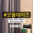 호텔데이즈(Hotel DAYS) | 부산 중구 중앙동 호캉스 추천 [ 굿올데이즈 ] 북캉스 혼자여행 힐링여행 숙소 추천