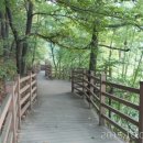 팔용산 체육공원 이미지