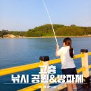 거금해양낚시공원 | 고흥 낚시 거금해양 낚시공원 금진항 방파제