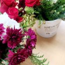 돈암병설유치원 이미지