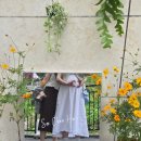 경충대로2762번길 이미지