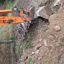 밤나무길 이미지