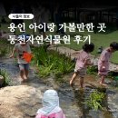 잉어물놀이 | 동천자연식물원 식당·텐트·주차, 물놀이 개장 6월 20일