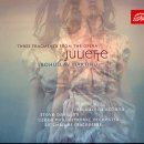 마르티누 체코 필하모닉 오케스트라 이미지