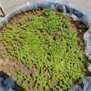 풍농주유소 이미지