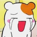 오하 이미지