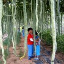 별이네농장 이미지