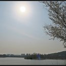 서호공원 이미지