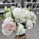 연덕로-2 | 창원 그날을 추억하다:)부케 말리기 내돈내산 픽업 후기