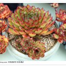 오수리농장 이미지