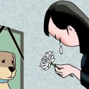 개팔자상팔자 이미지