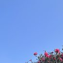 연세위너스재활의학과의원 이미지