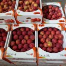 천지농협 이미지