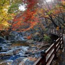 구천동 어사길 이미지