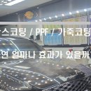 토리노디테일링