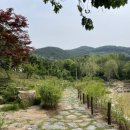 캠핑 일기 : 노스피크 나르시스돔 EX 플러스 바닥공사 TIP(발포매트, 러그, 자충매트)