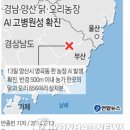 명곡동400 이미지