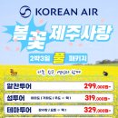 제주사랑여행사 네이버블로그