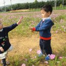 보민농장 이미지