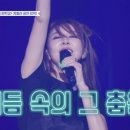 선우여행사 이미지