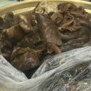 연동시장 이미지