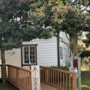 그루밍제주 | 제주도고양이카페) 서귀포가볼만한곳 고양이가있는 제주캣월드