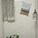 고롱고롱 이미지