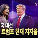 [에디터픽] 2024 미국 대통령 선거..해리스 vs 트럼프, 현재 지지율은? / YTN 이미지