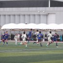 울진군민체육관 이미지