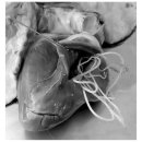 오포동물약국 이미지