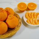 알마니농장 이미지