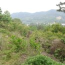 회성동267 이미지