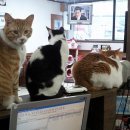 조이병원 이미지