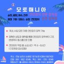 D.K. MOTORS 네이버블로그