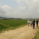 송림원 민박 이미지