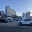 텃밭에노는닭 이미지