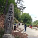 봉수보건지소 | 장계지맥 1구간(금탑사-분기점-별학산-팔봉산-학동삼거리)산행
