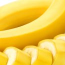 바나나동물병원 이미지