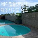 제주 호텔 후기 베이힐 풀앤빌라 BAYHILL POOL...풀빌라 제주 서귀포 숙소 추천 대만족후기 feat. 내돈내산