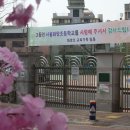 화양초교 이미지