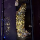 한국자연사박물관 | 아부다비 자연사 박물관 후기와 맘사 해변에서 느낀 '외국에서 보낸 하루'